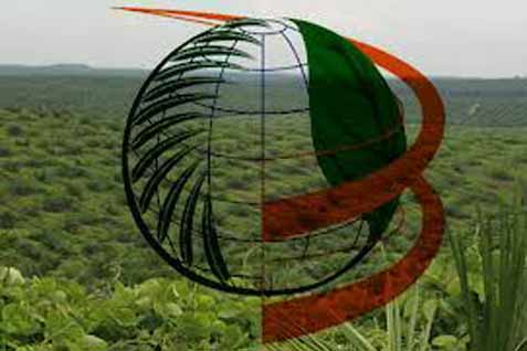  PTPN Holding Rombak Direksi
